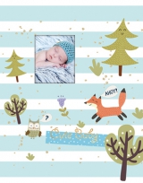 Альбом UFO 20sheet S22x32 Blue fox